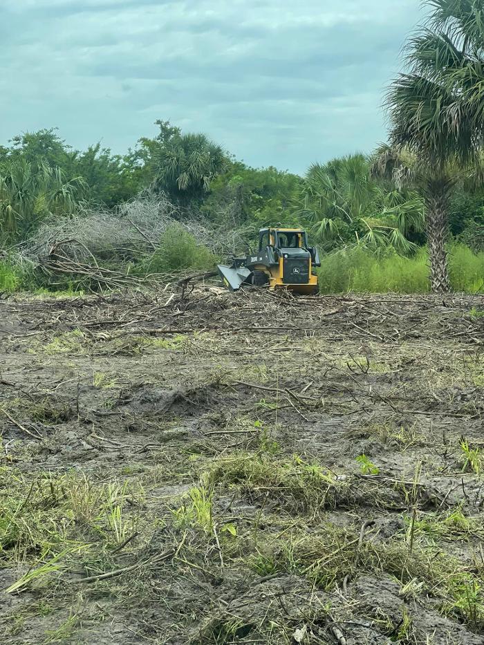 Xpress Land & Tree Management LLC - Ormond Beach, FL