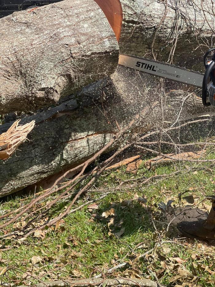 Xpress Land & Tree Management LLC - Ormond Beach, FL