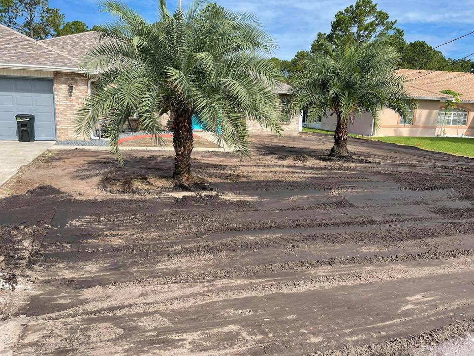 Xpress Land & Tree Management LLC - Ormond Beach, FL