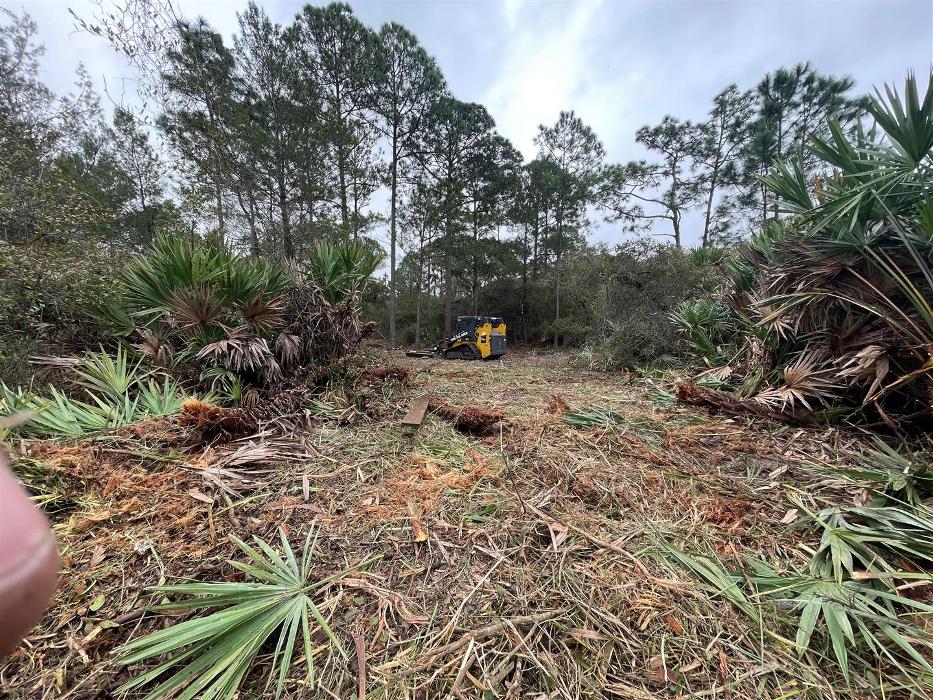 Xpress Land & Tree Management LLC - Ormond Beach, FL
