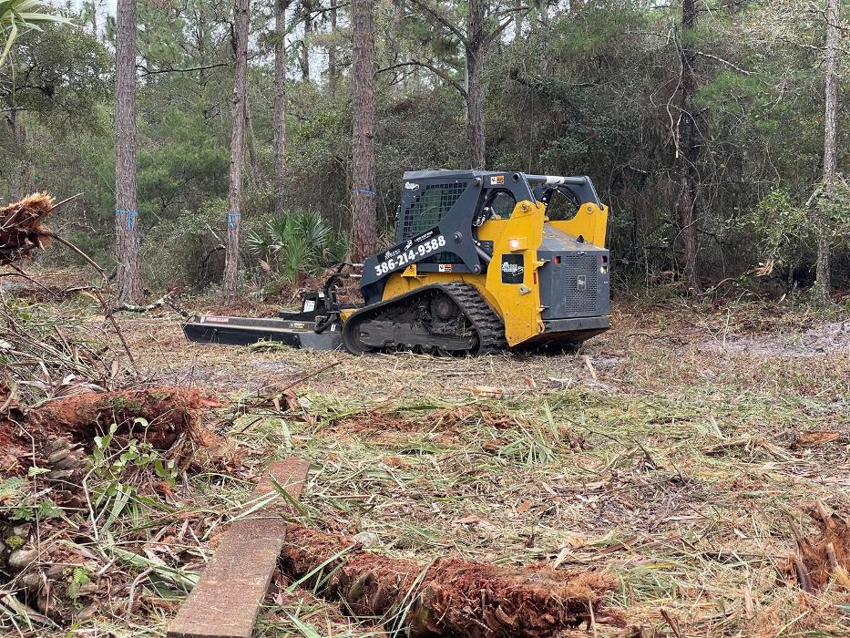 Xpress Land & Tree Management LLC - Ormond Beach, FL