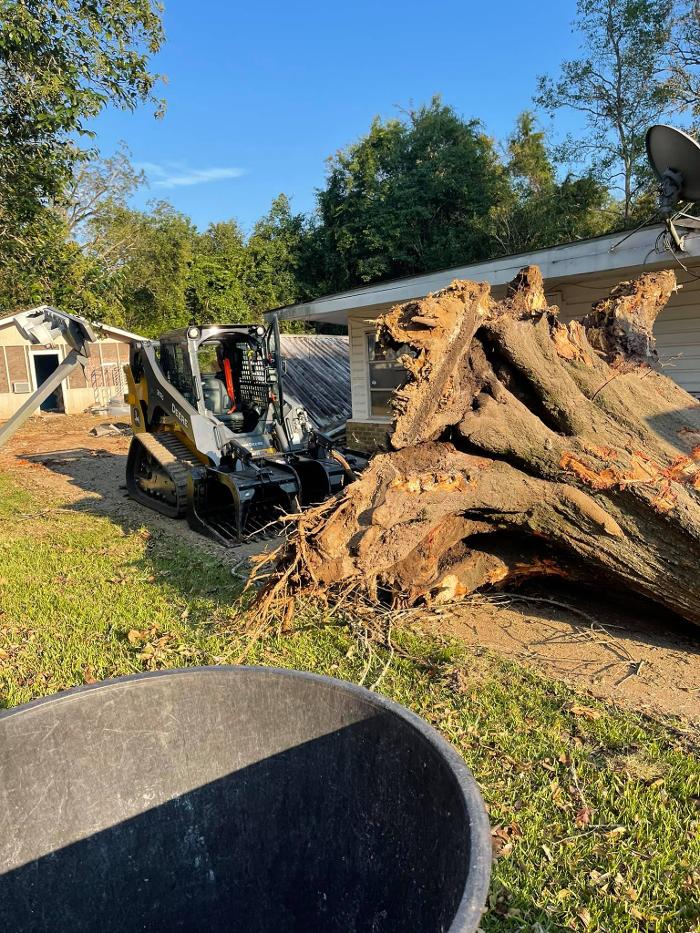 Xpress Land & Tree Management LLC - Ormond Beach, FL