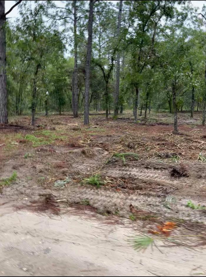 Xpress Land & Tree Management LLC - Ormond Beach, FL