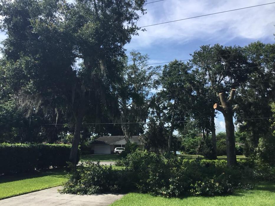 Xpress Land & Tree Management LLC - Ormond Beach, FL