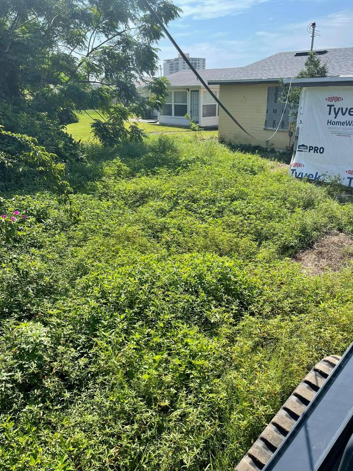 Xpress Land & Tree Management LLC - Ormond Beach, FL