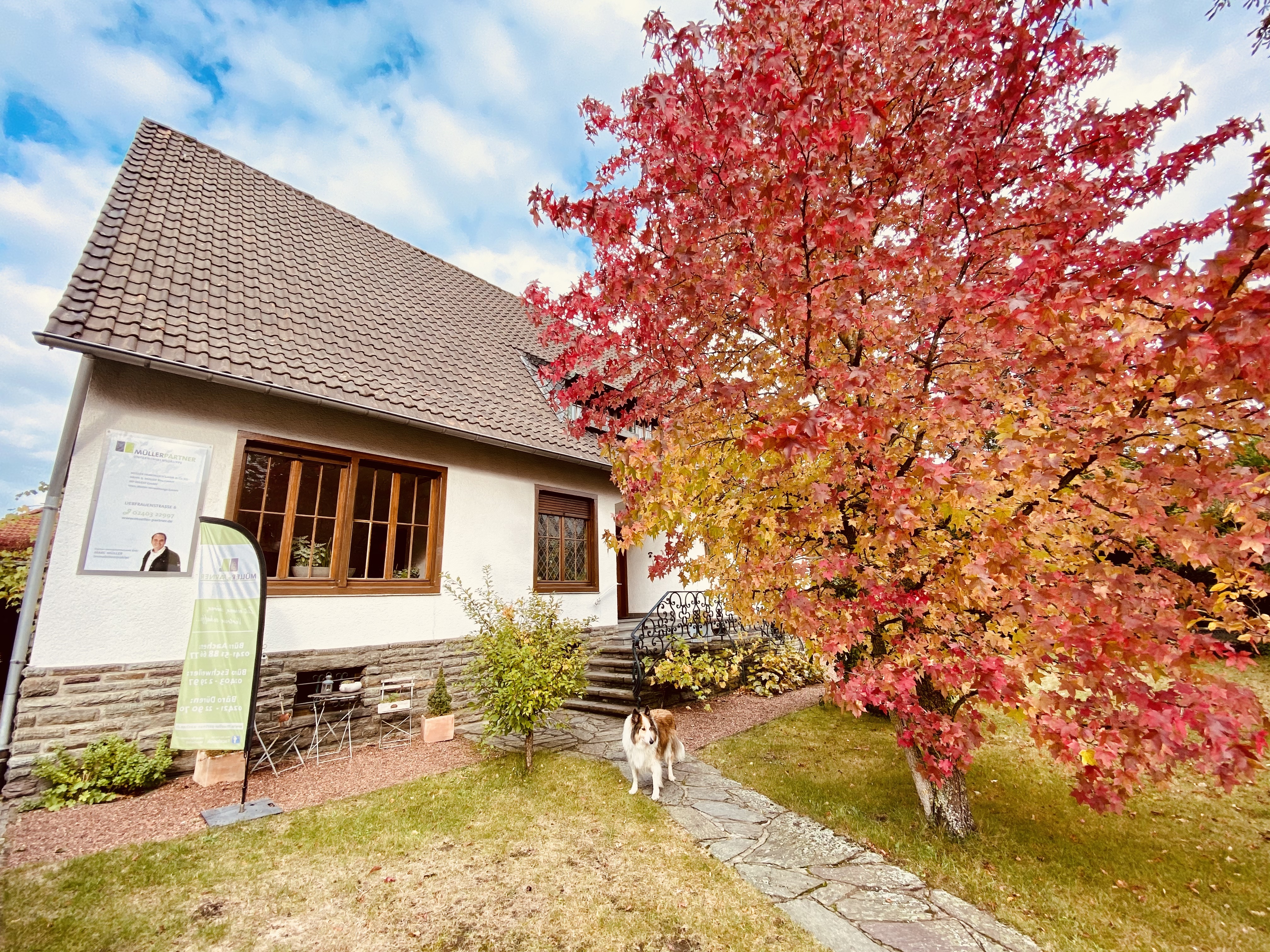 Galerie-Thumbnail