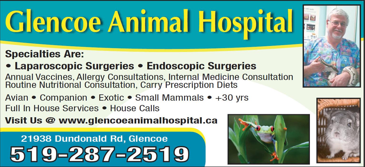 Glencoe Animal Hospital