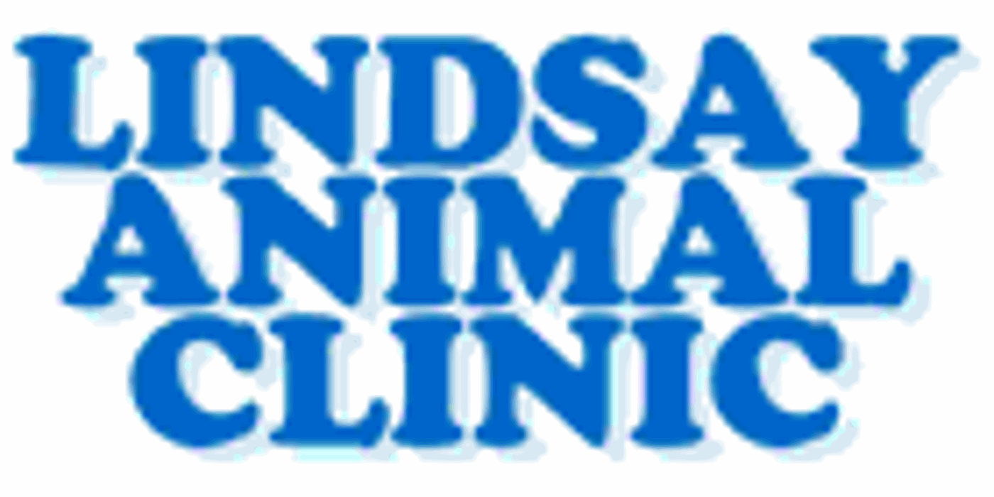 Lindsay Animal Clinic Professional Corporation