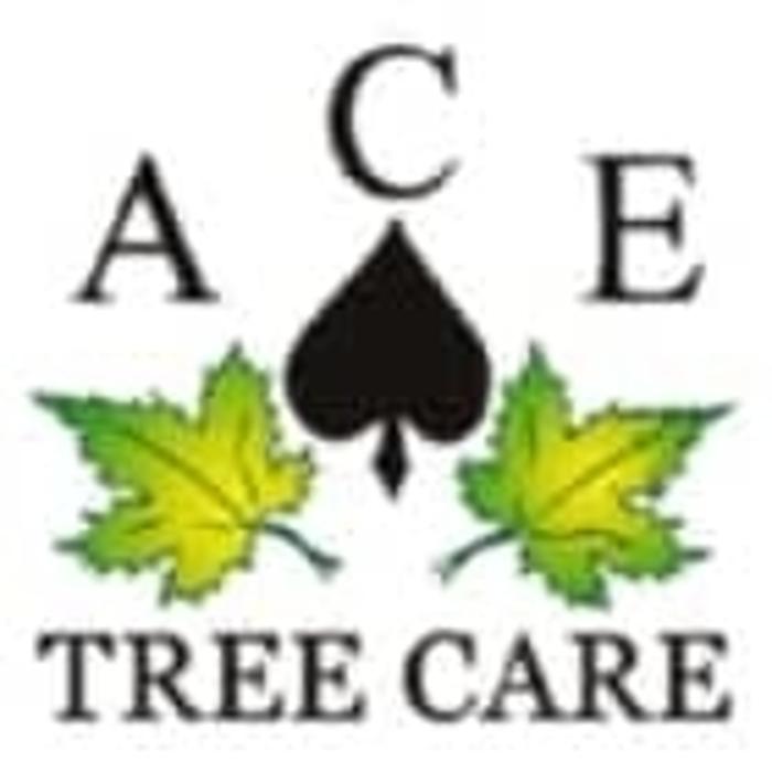 A C E Tree Care