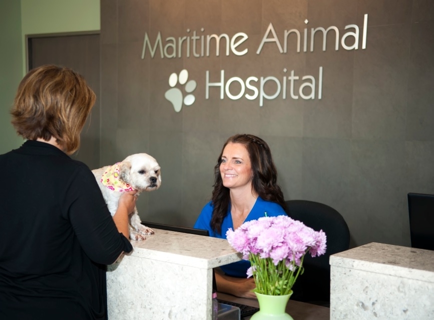 Foto de Maritime Animal Hospital Moncton