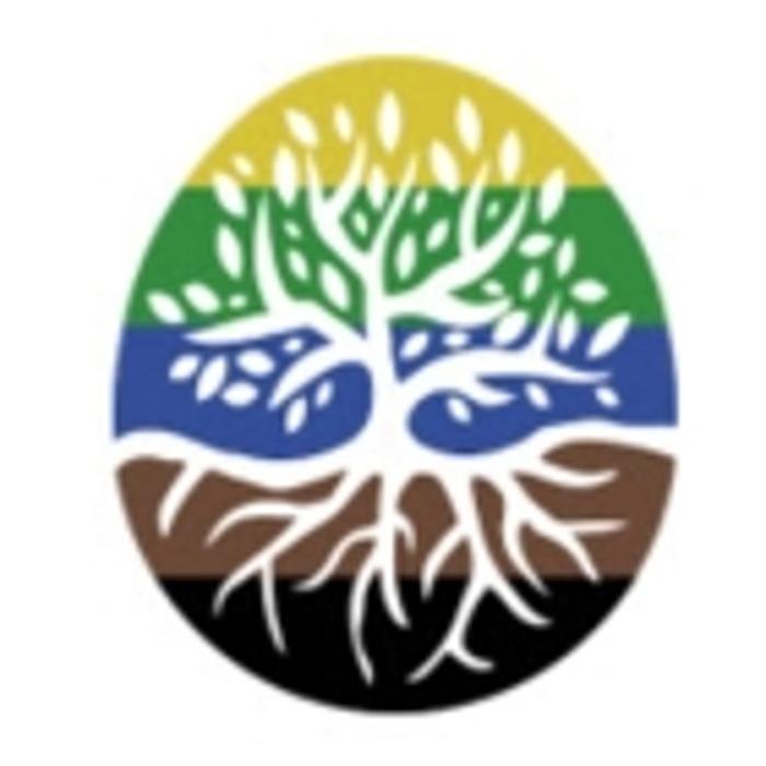Vital Tree Care