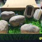 Gallery thumbnail