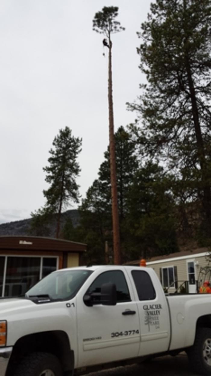 Glacier Valley Tree Care Ltd