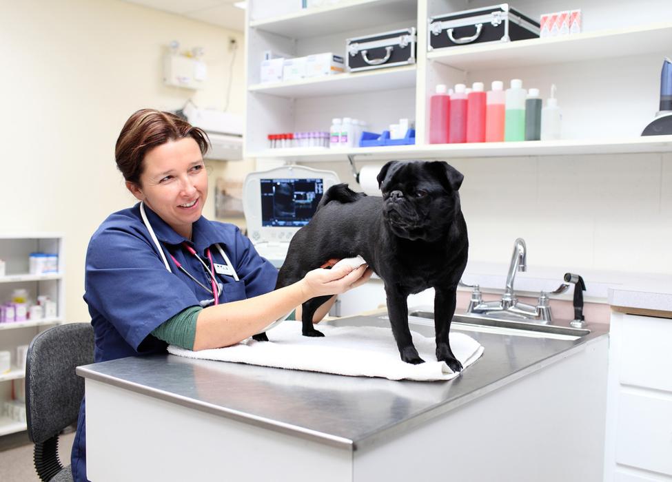 North Peace Veterinary Clinic Ltd