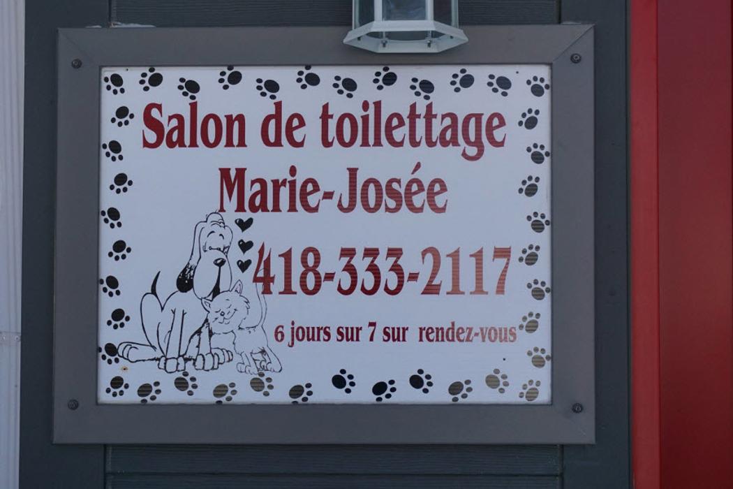 Salon de Toilettage Marie-Josée