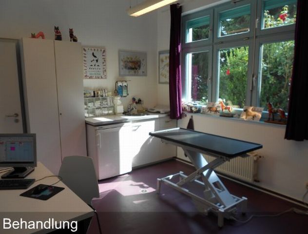 Kleintierpraxis Kirsten Mertens, Bonner Straße in Sankt Augustin