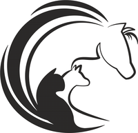 SaLi's Futtershop in Hachenburg