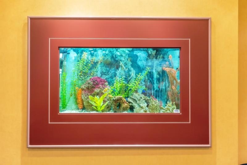 Gallery thumbnail