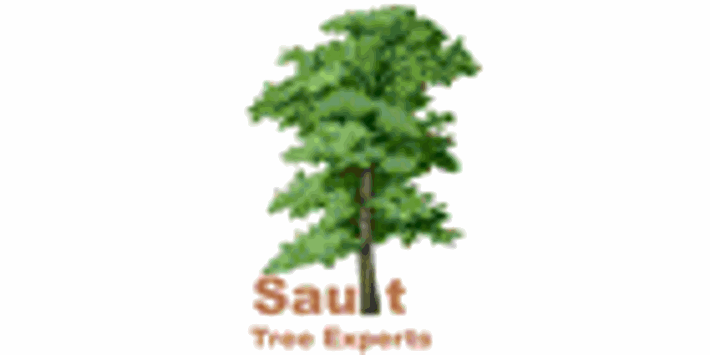 Sault Tree Experts