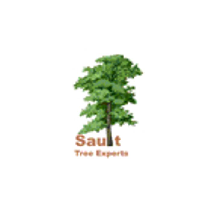 Sault Tree Experts