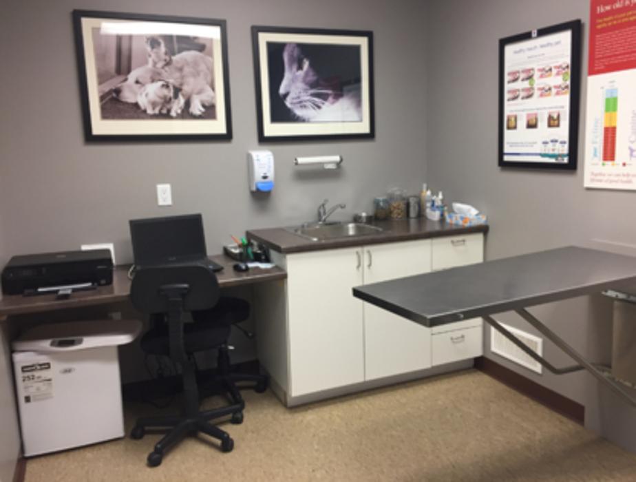Midtown Animal Hospital