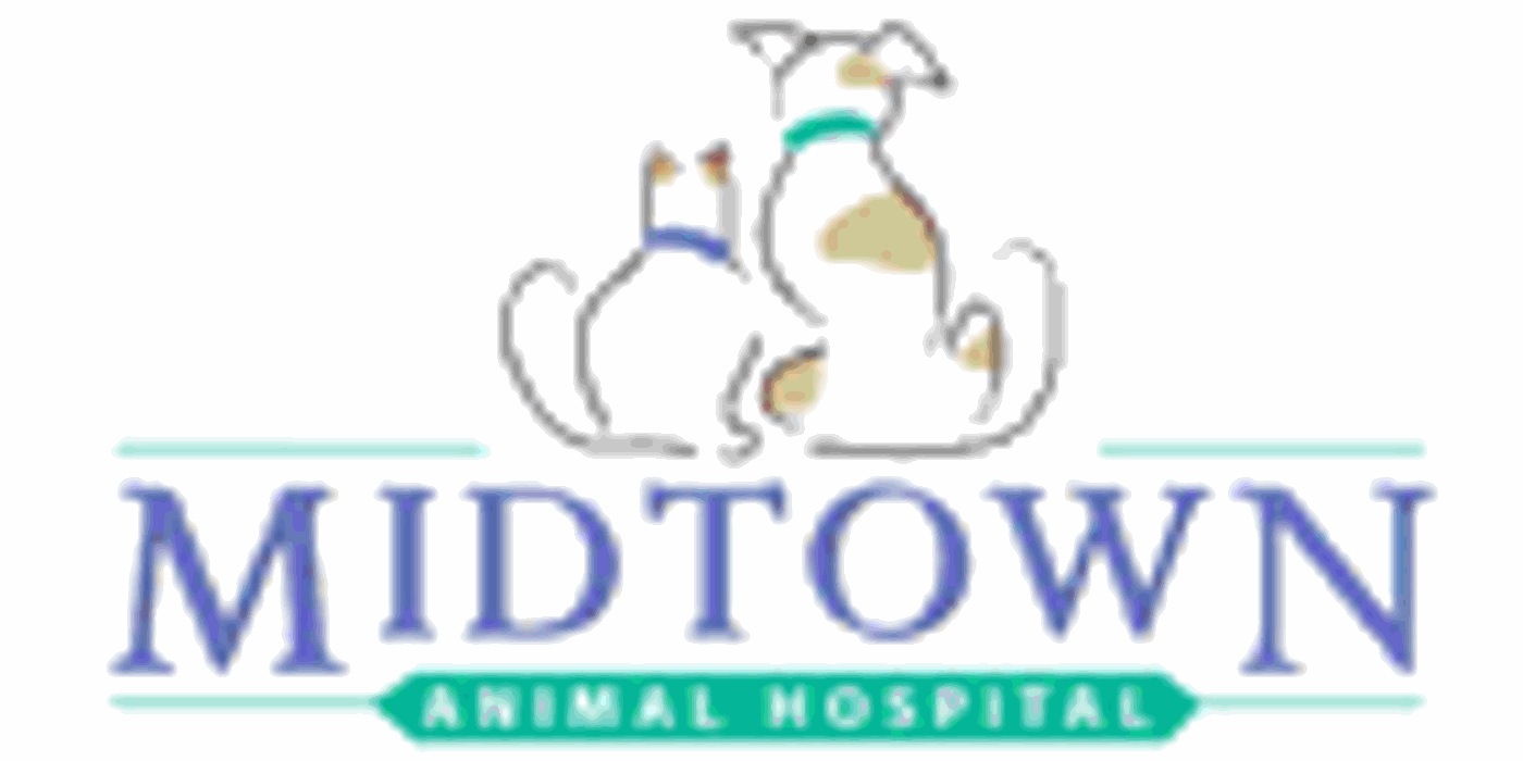 Midtown Animal Hospital