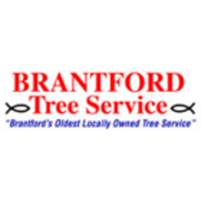 Brantford Tree Service