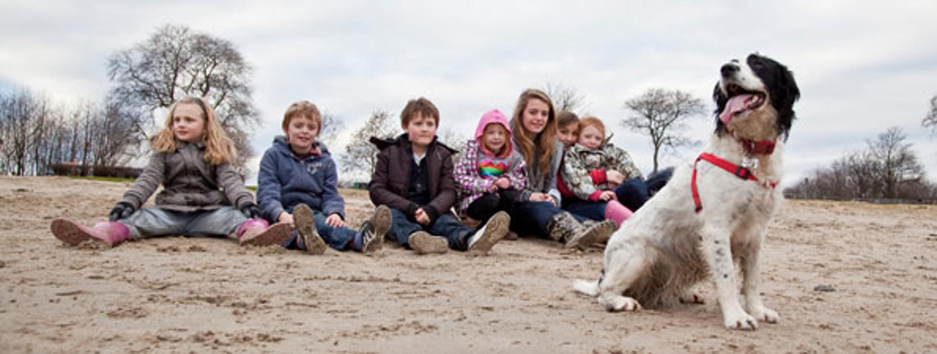 Sauble Beach Pet Hospital