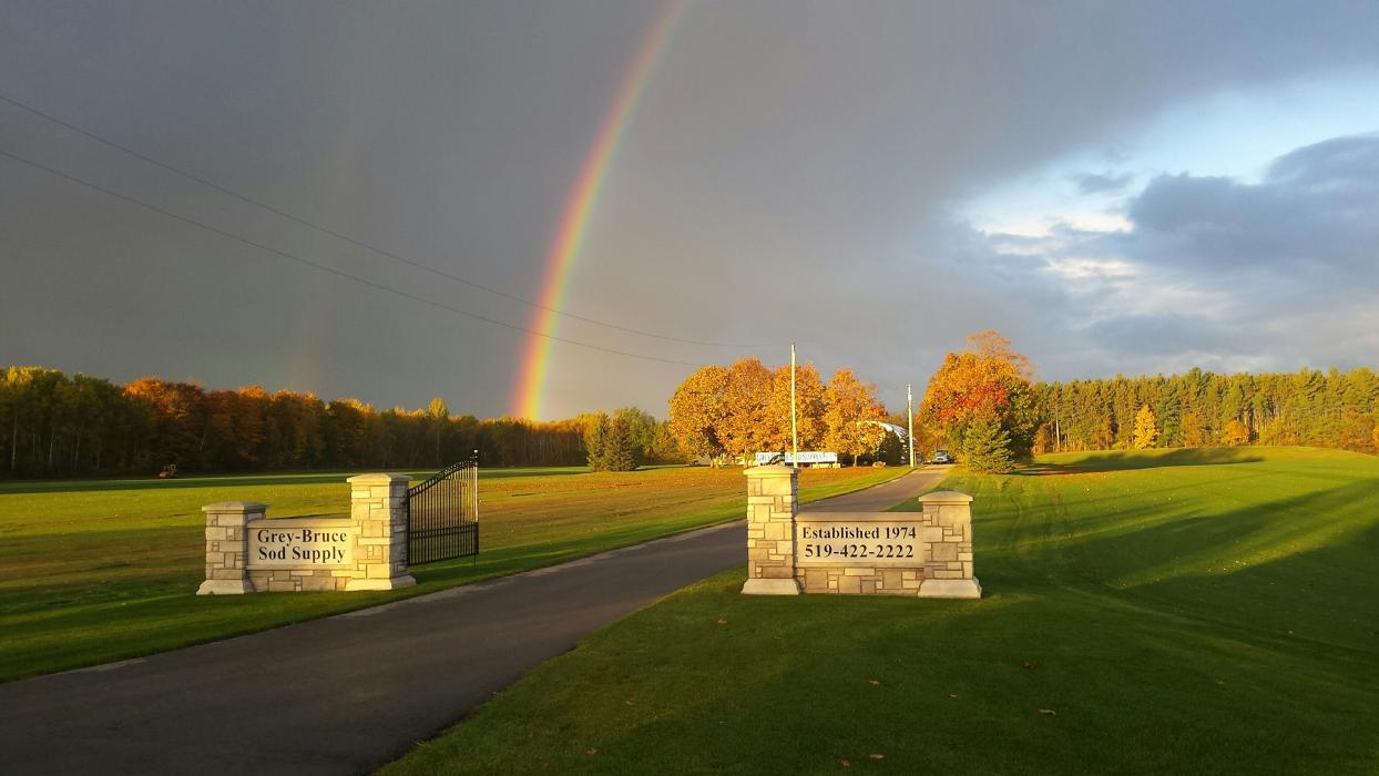 Grey Bruce Sod Supply Ltd