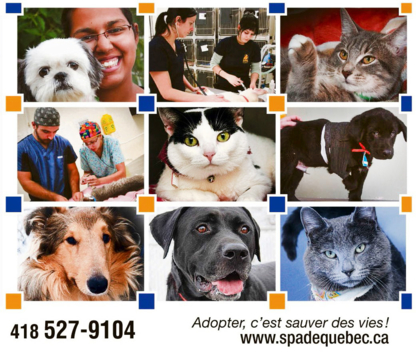 Société Protectrice des Animaux de Québec Québec (418)527-9104