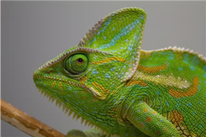 Gallery thumbnail