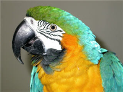 Gallery thumbnail