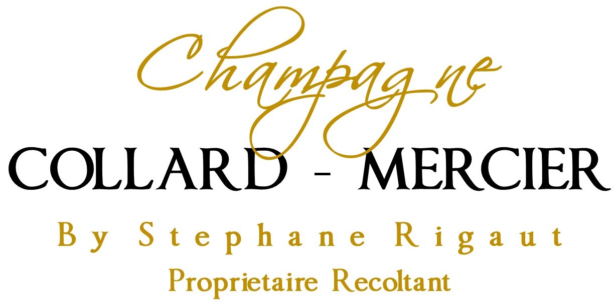 Champagne Collard Mercier By Stephane Rigaut bar a vin