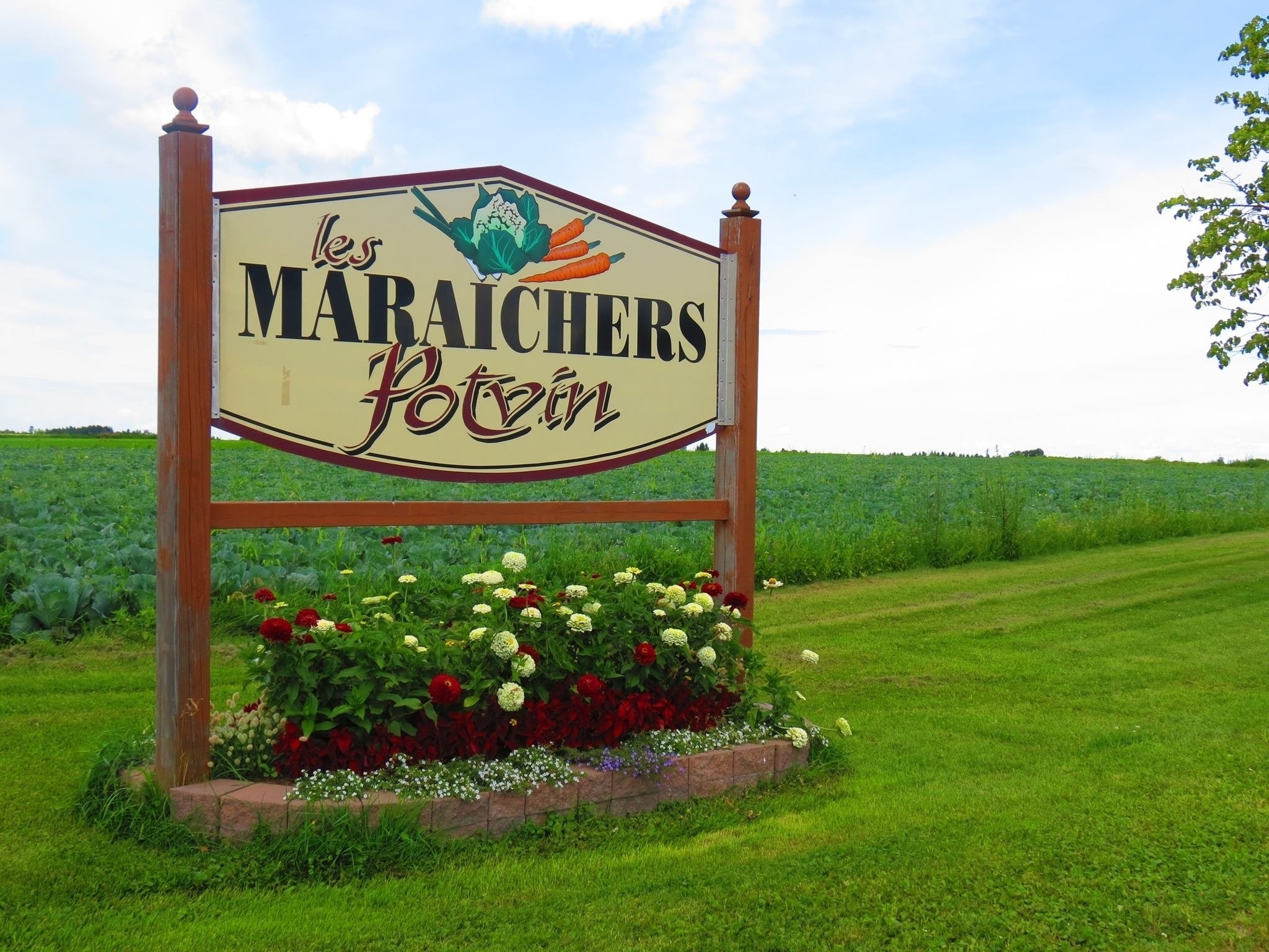 Les Maraichers Potvin Inc Métabetchouan-Lac-à-la-Croix (418)349-8125