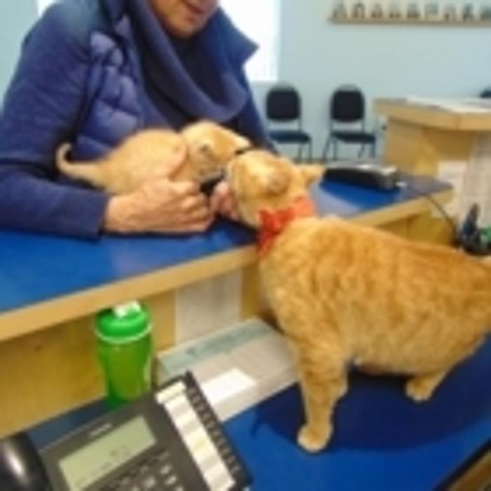 Prince George Veterinary Hospital Ltd