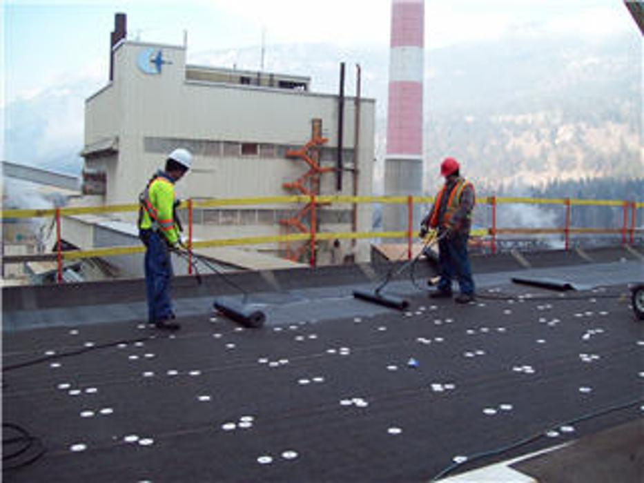 Trail Roofing Ltd