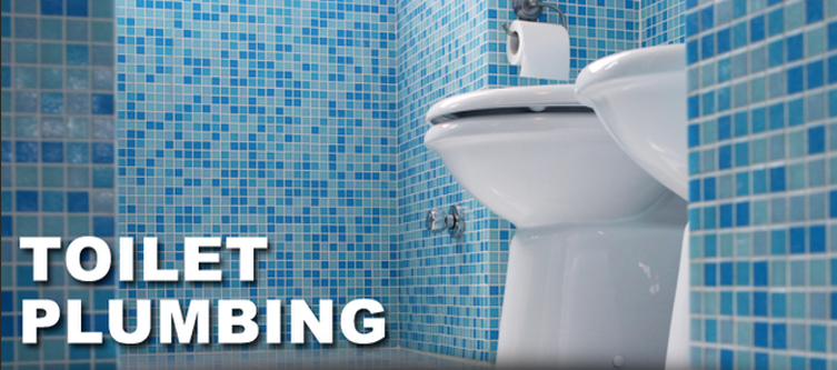 Royal Plumbing Services Toronto (416)537-0038