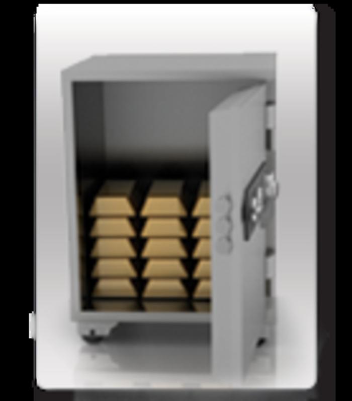 Royal Security Solutions Inc