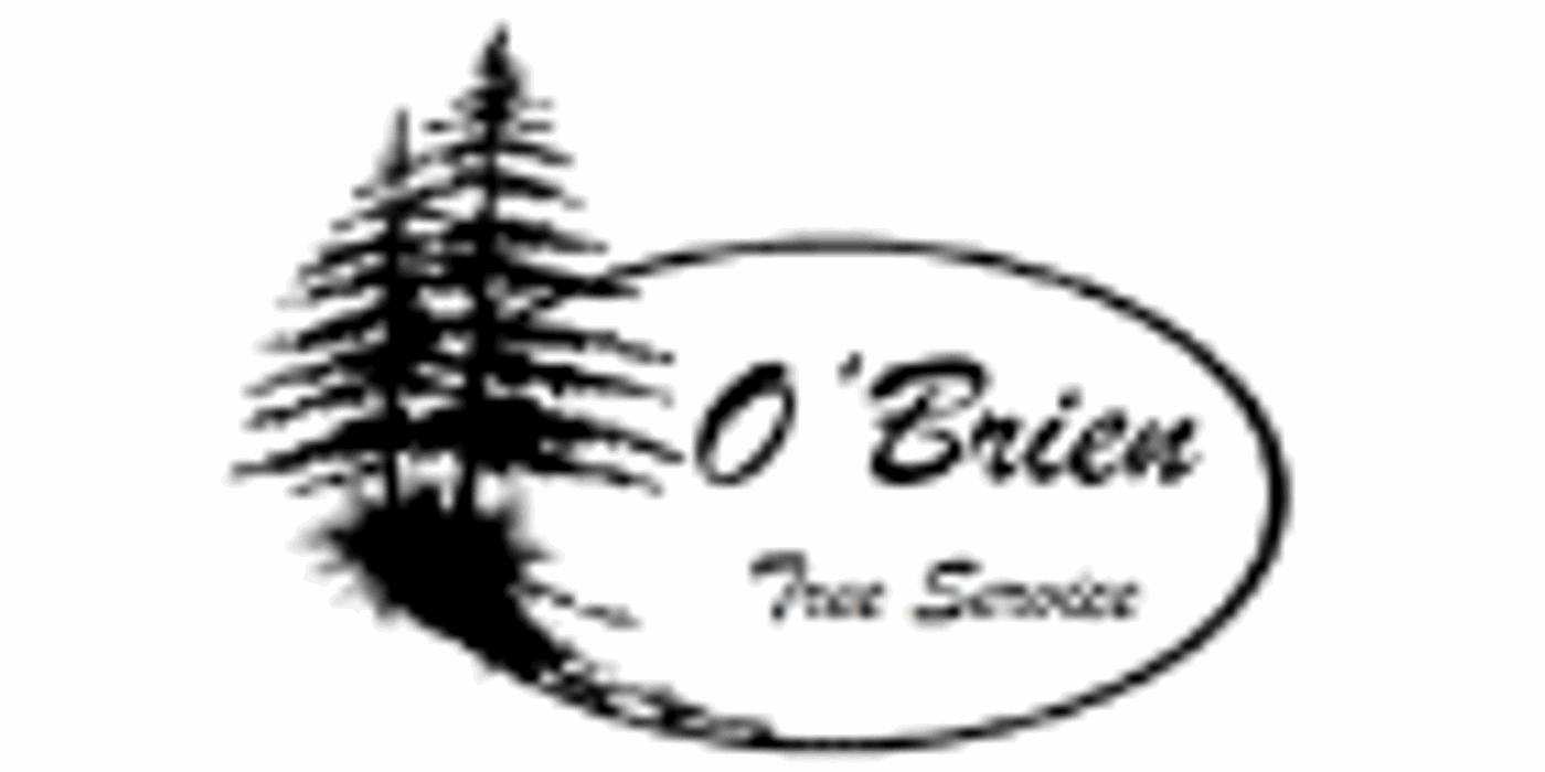 O'Brien tree services