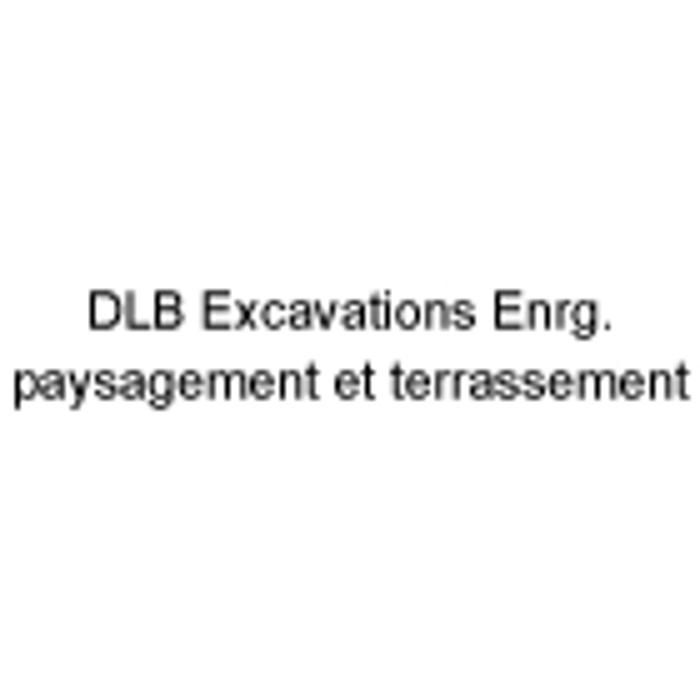 DLB Enr