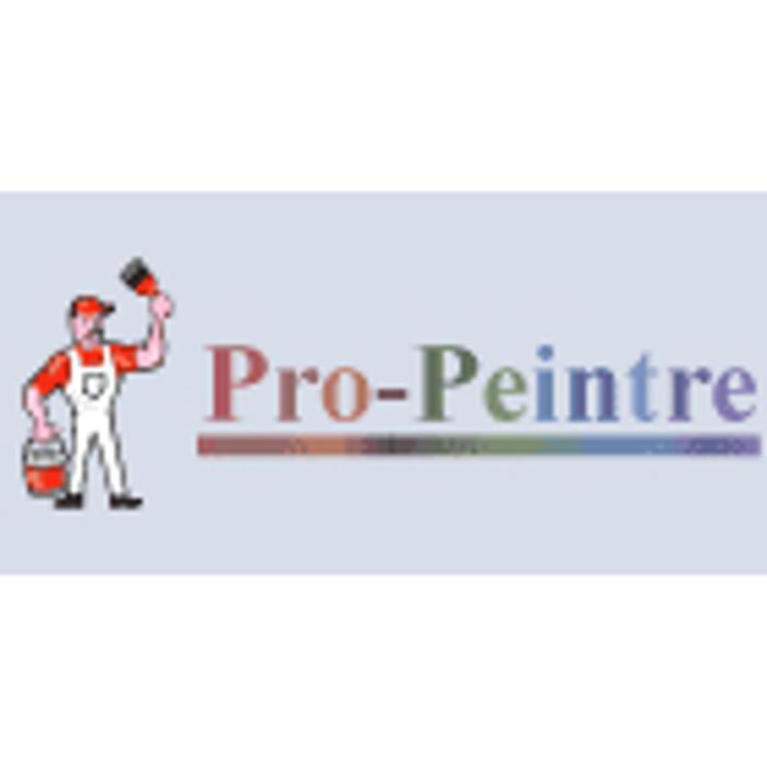 Pro-Peintre