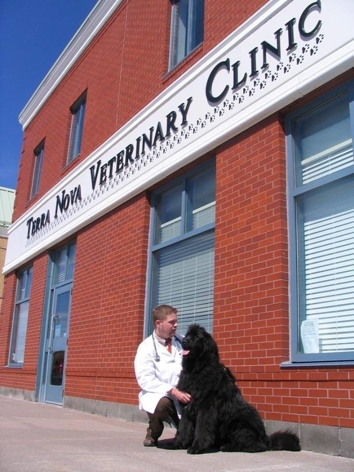 The Terra Nova Veterinary Clinic - St. John's, NL A1A 5L4 - (709)738-7054 | ShowMeLocal.com