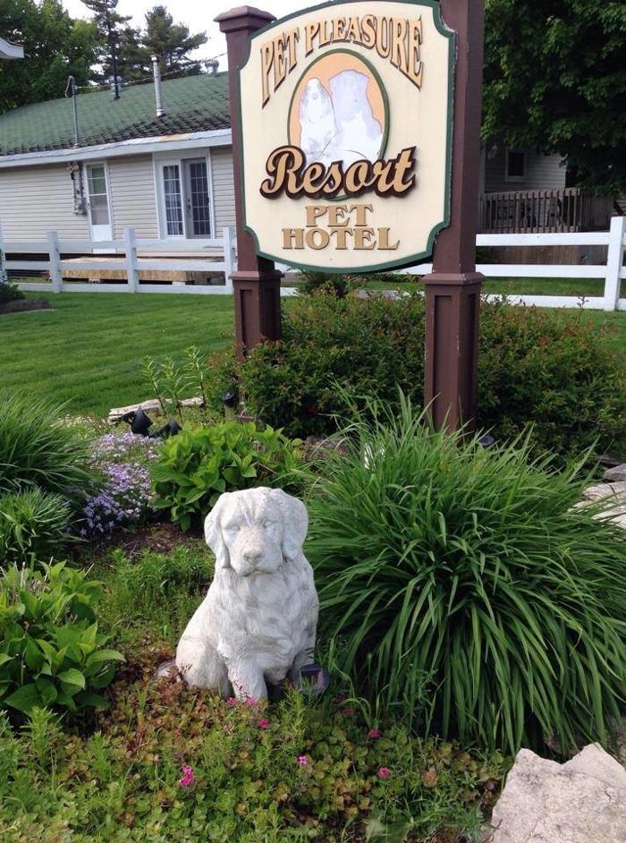 Pet Pleasure Resort