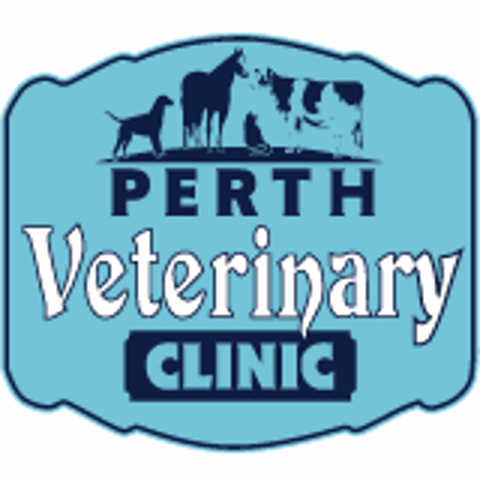 Westport Veterinary Clinic