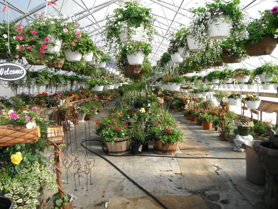 Moe's Gardens & Greenhouse