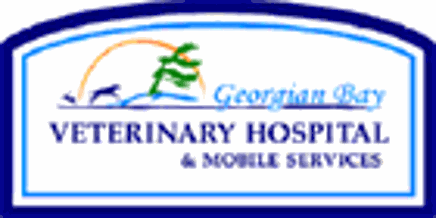 Georgian Bay Veterinary Hospital