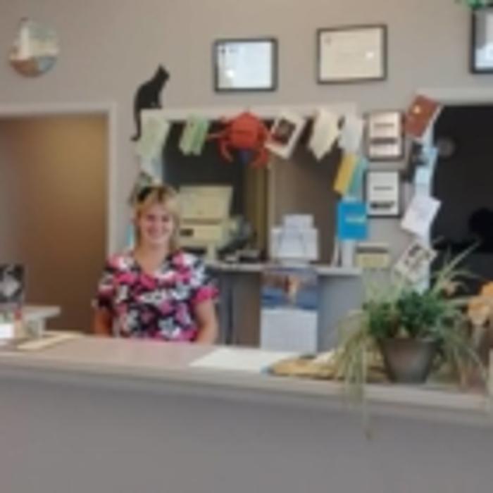 Manning Road Animal Hospital