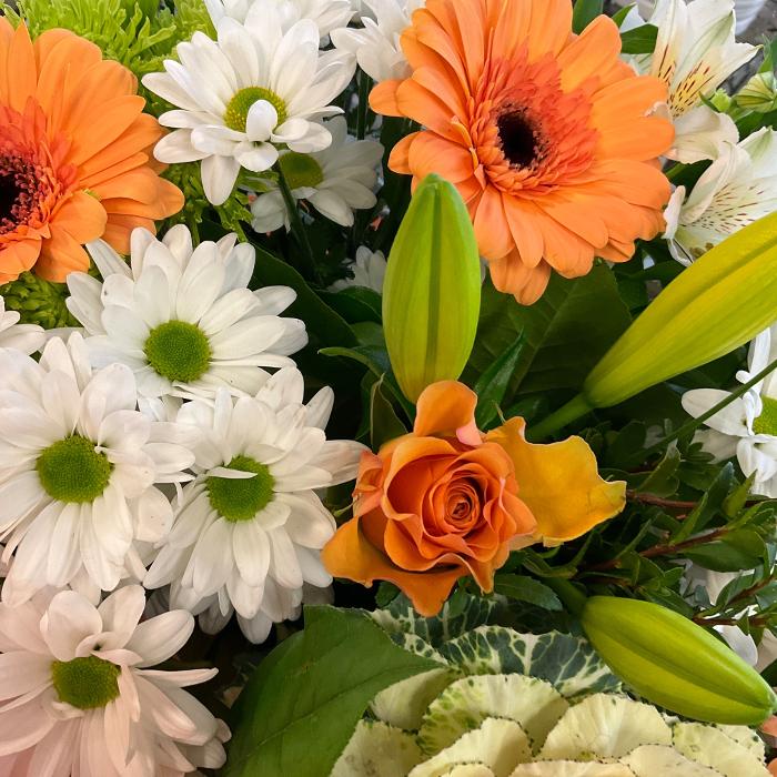 printempsflowerring13号flowerglassring12号 GB5Z-14A664-F - Clock Spring - 2016-2019 Ford | Eastgate