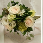 Fotos de Silver Horse Florist