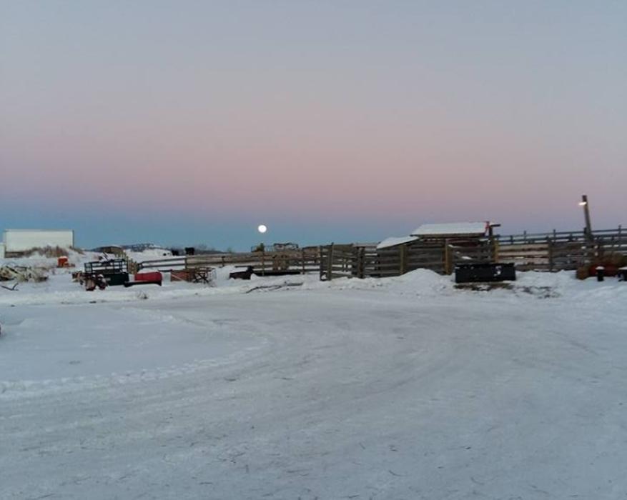 Lazy F D Ranches & Hay Sales Ltd